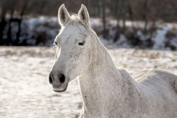 Good Morning Stay Strong Quotes: Uplift Your Day with Positivity