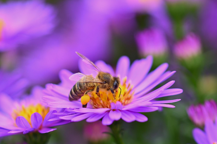 Tuesday Blessings Images and Quotes to Inspire Your Day