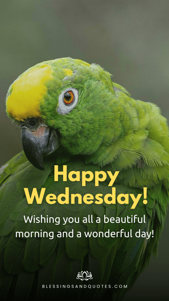 Wednesday Blessing Image