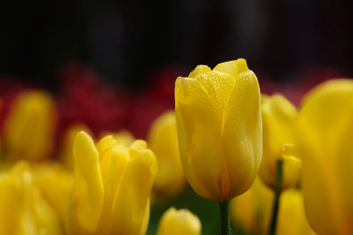 Free Wednesday Blessings Images to Inspire Your Midweek