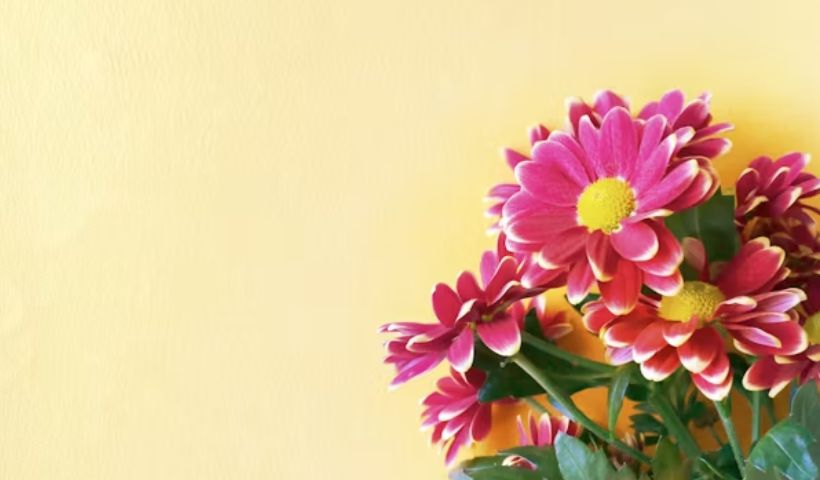 Thank you so much images Banner