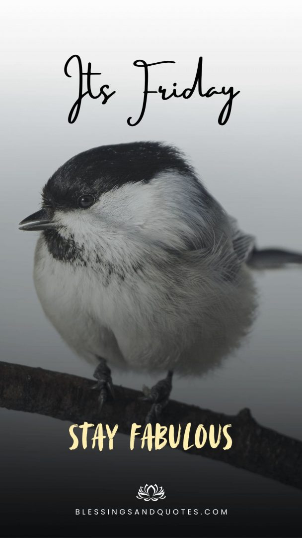 Friday-Blessing-Image-4