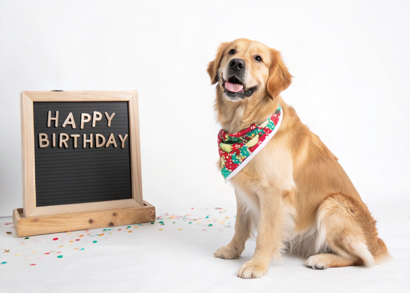The Ultimate Guide to Dog Birthday Quotes and Captions