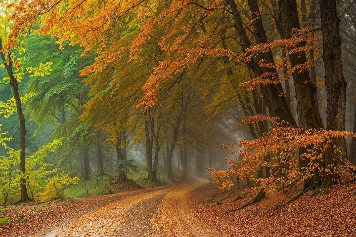 Sunday Blessings Images and Quotes to Uplift Your Heart