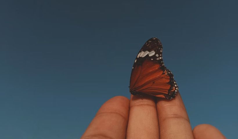 50+ Unexpected Feelings Quotes That Capture Life’s Most Surprising Moments