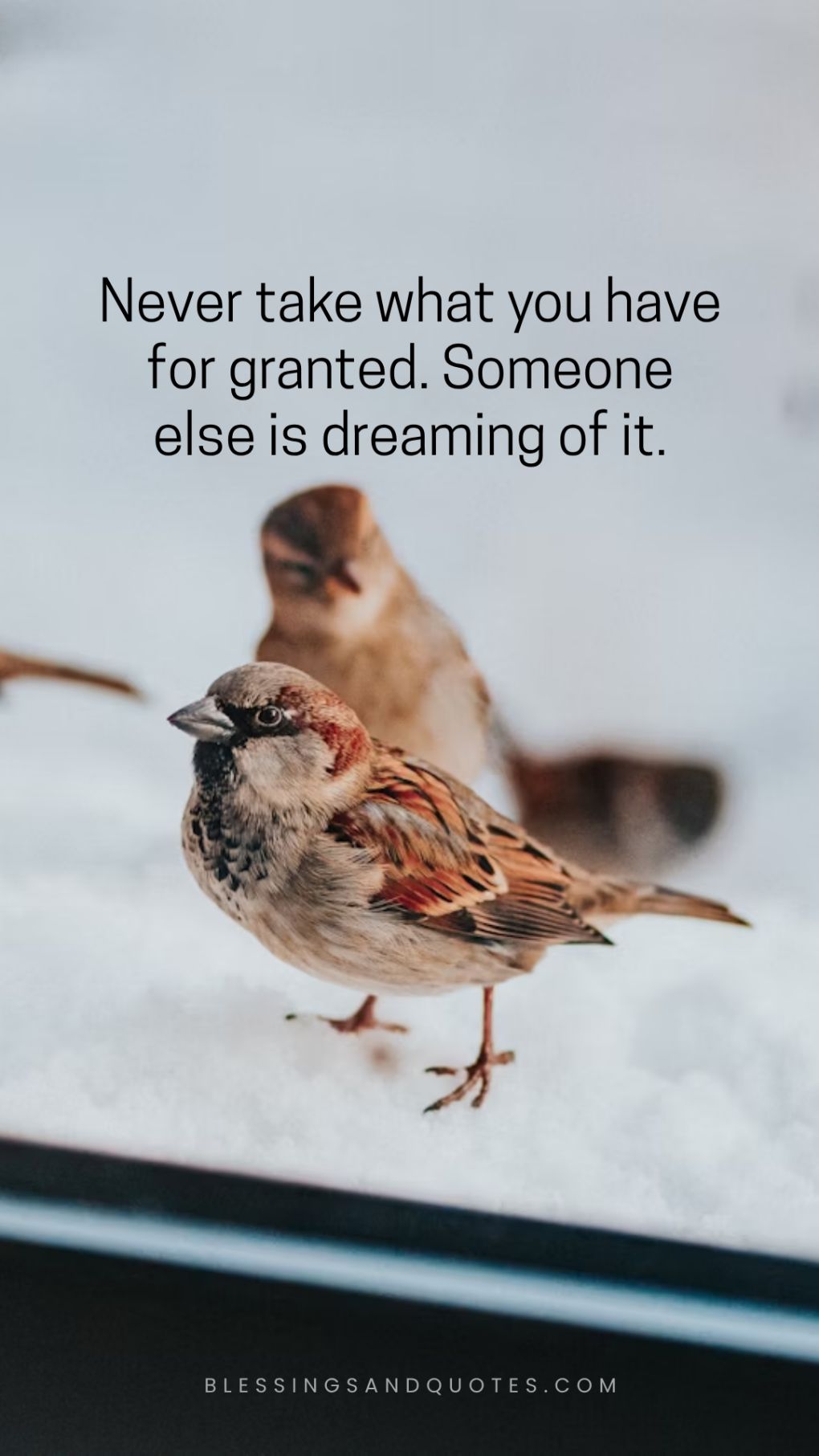 Never Take for Granted Quotes to Make You Pause and Reflect