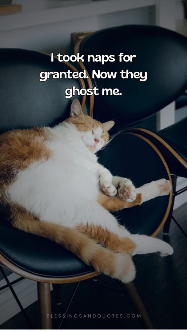 never-take-for-granted-quotes-16 Never Take for Granted Funny Quotes