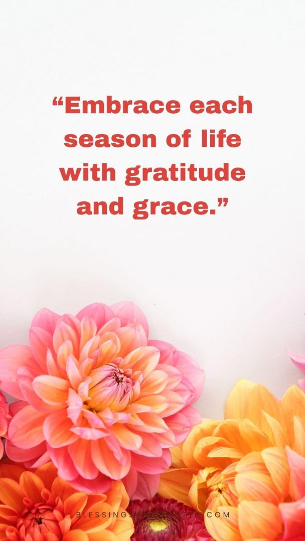 Embrace each season of life with gratitude and grace.