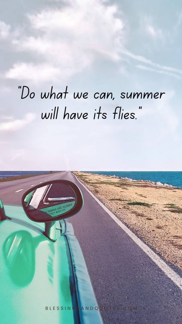 Do what we can, summer will have its flies.