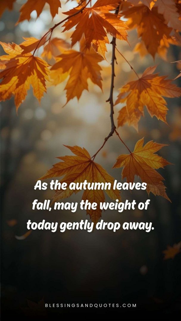 good-evening-blessing-17 As the autumn leaves fall, may the weight of today gently drop away.