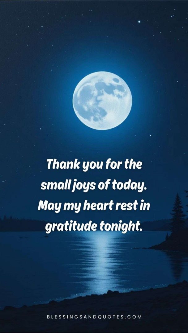 good-evening-blessing-3 Thank you for the small joys of today. May my heart rest in gratitude tonight.