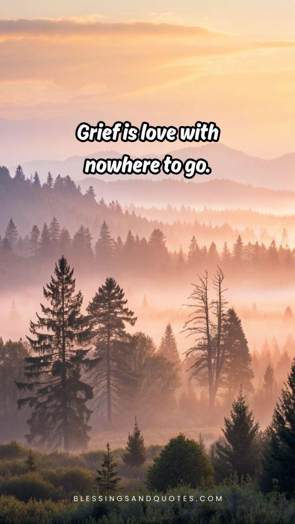 grief-quote-1 Grief is love with nowhere to go.