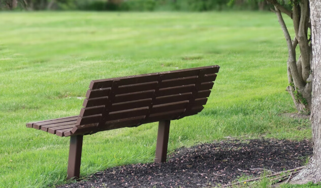 Grief Quotes to Comfort Your Heart When You Miss Someone You Love