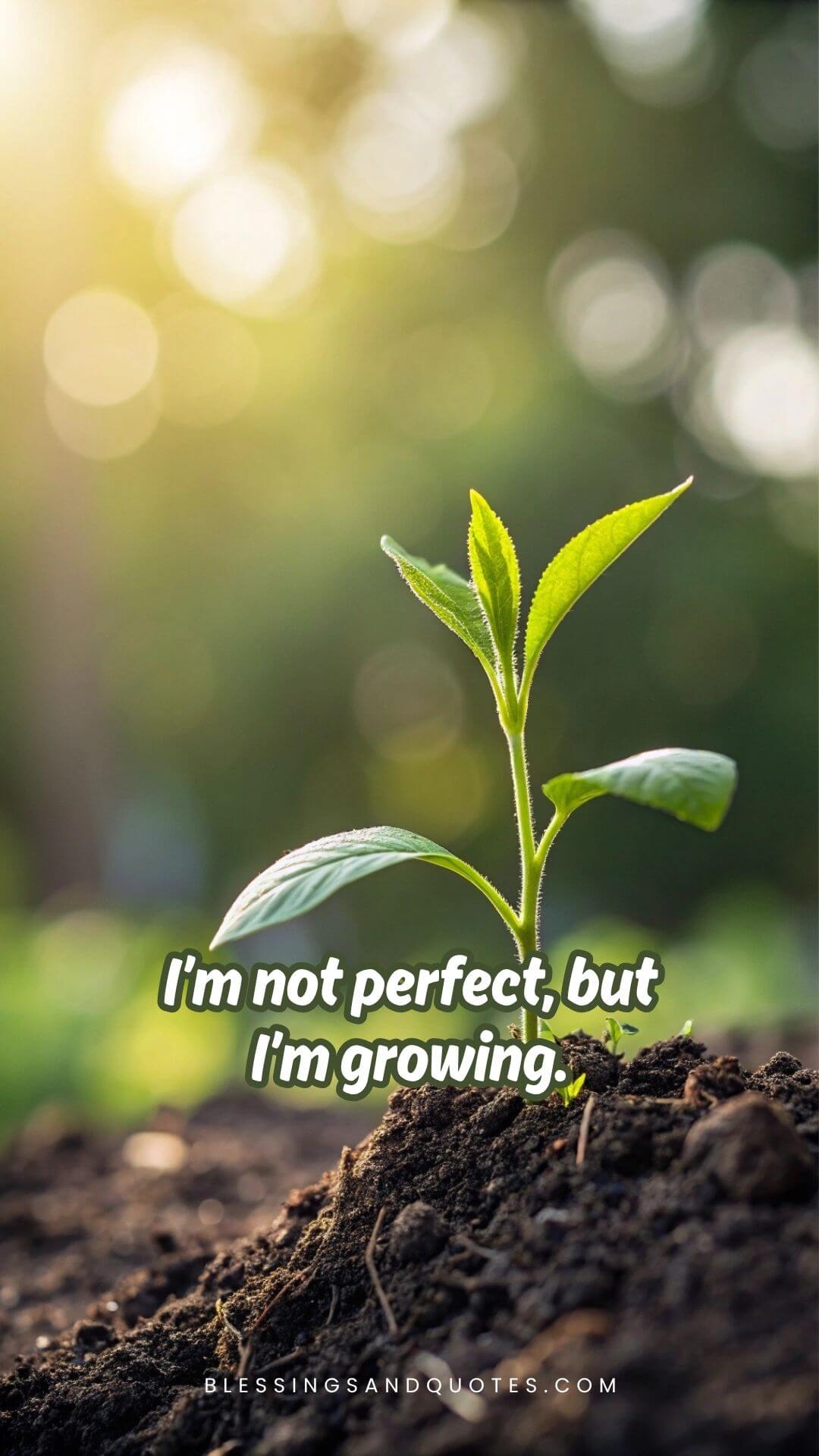 I Am Not Perfect Quotes: Inspiring Words About Love, Life, and Being Real