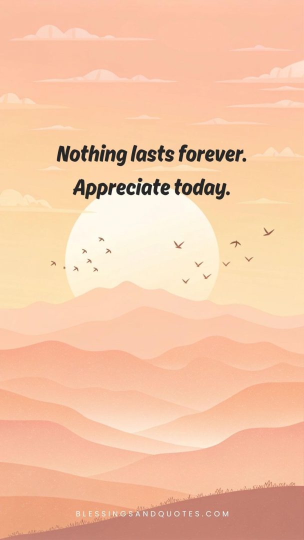 Nothing lasts forever. Appreciate today.