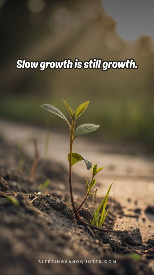 Slow growth is still growth.