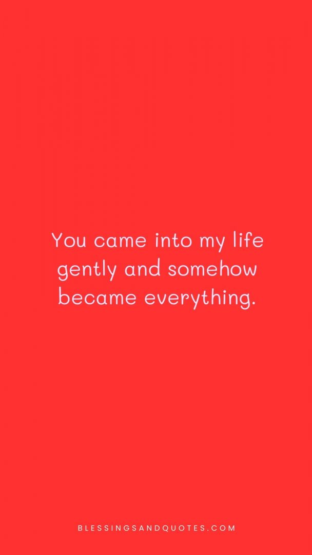 You came into my life gently and somehow became everything