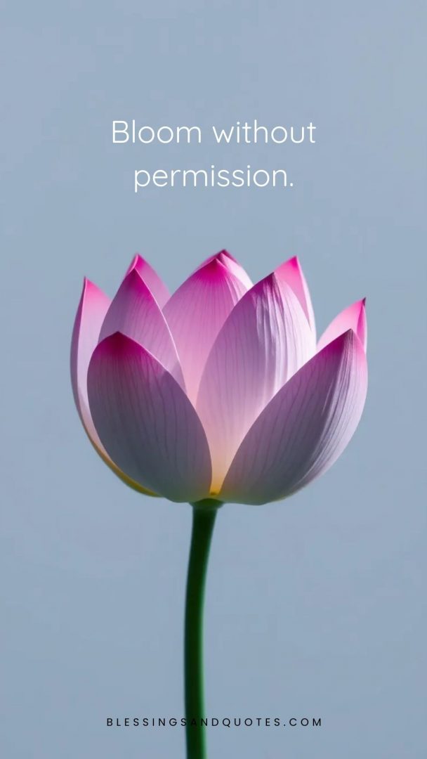 Bloom without permission.