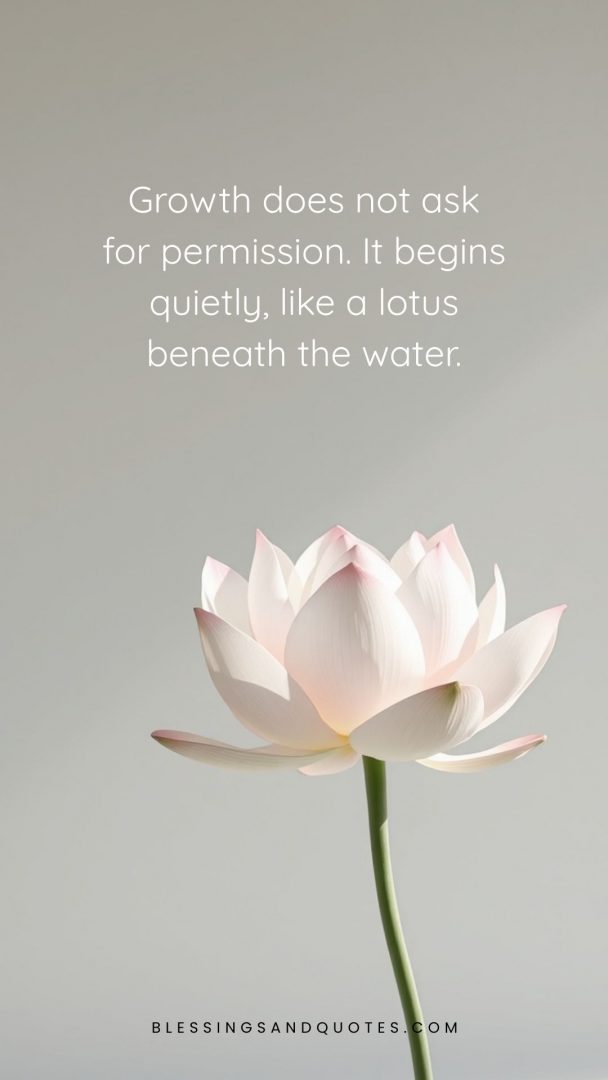 Growth does not ask for permission. It begins quietly, like a lotus beneath the water.