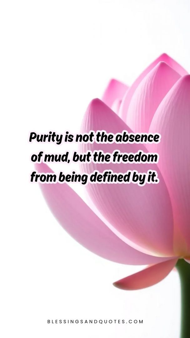 Purity is not the absence of mud, but the freedom from being defined by it.