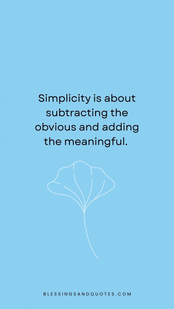 Simplicity is about subtracting the obvious and adding the meaningful.