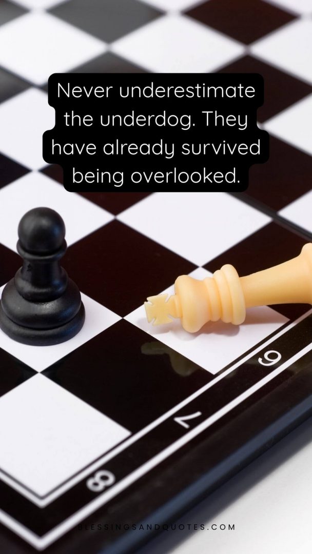 Never underestimate the underdog. They have already survived being overlooked.