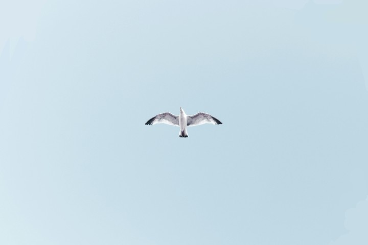 Quotes About Simplicity: Timeless Words on Life, Beauty, and Living with Less