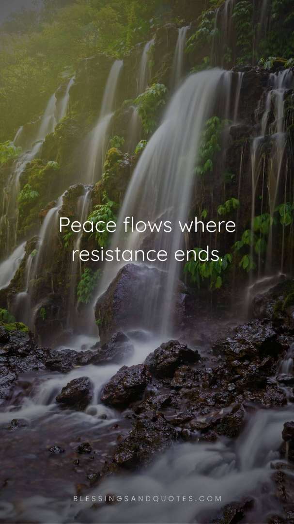 Peace flows where resistance ends.