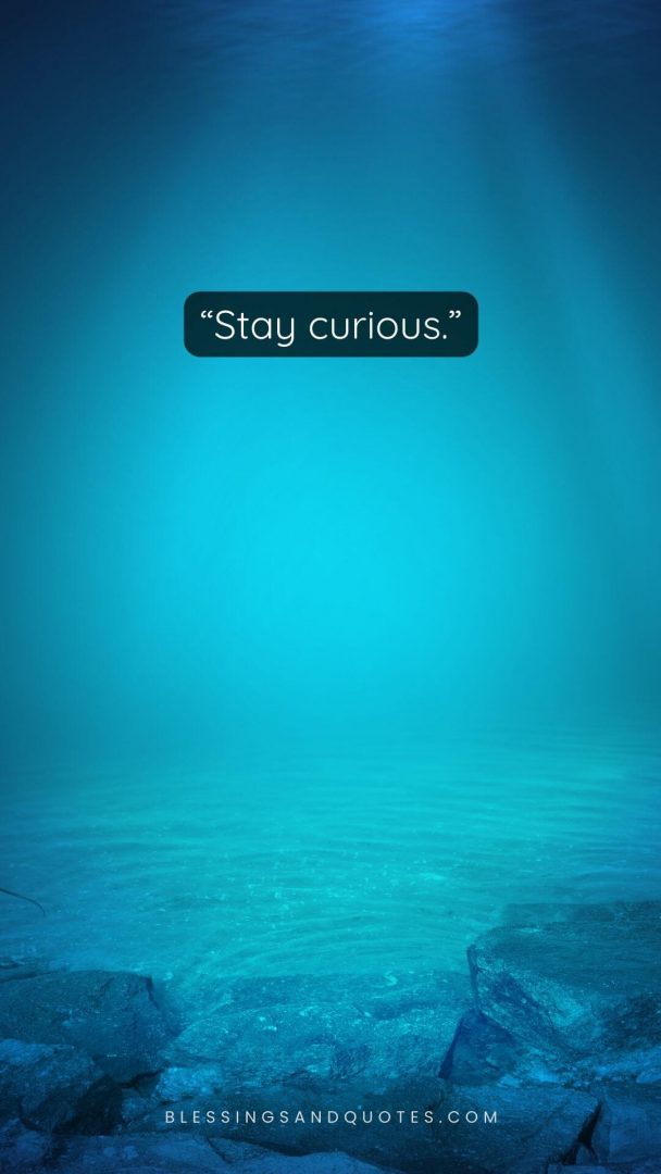 lock-screen-quote-11 Stay Curious