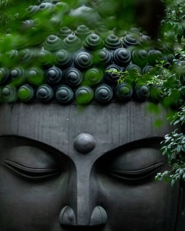 Buddha Quotes on Life: Timeless Wisdom for Peace, Strength, and Letting Go