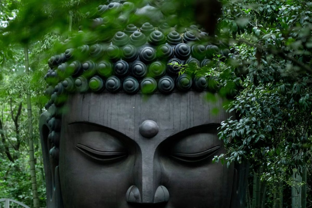 Buddha Quotes on Life: Timeless Wisdom for Peace, Strength, and Letting Go