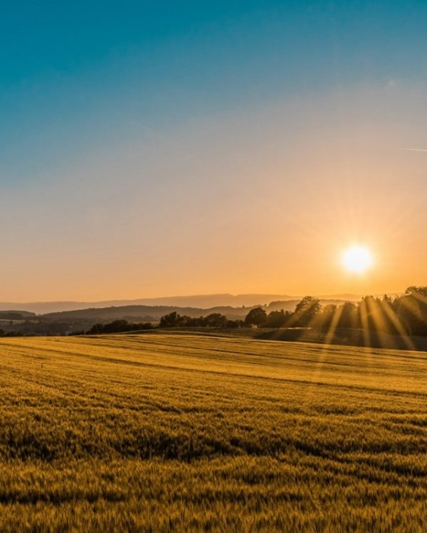20 Heartfelt Good Morning Prayers and Quotes to Bless Your Friends