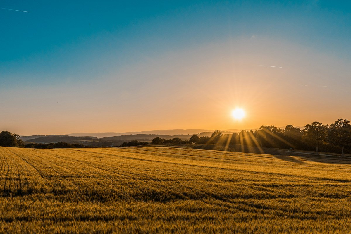 20 Heartfelt Good Morning Prayers and Quotes to Bless Your Friends