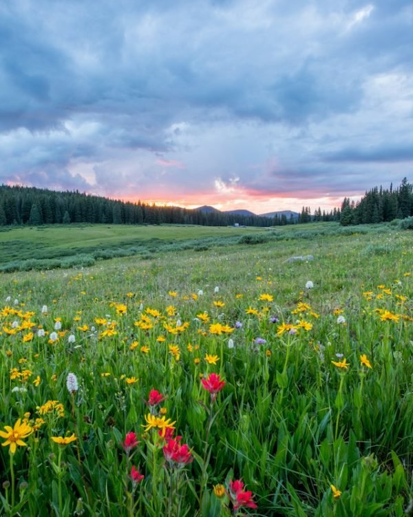 Friday Blessings: Beautiful Messages, Quotes, and Images to Share