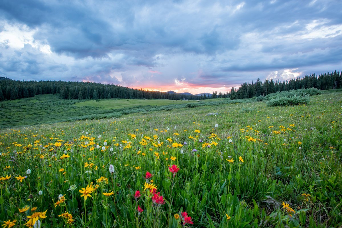 Friday Blessings: Beautiful Messages, Quotes, and Images to Share