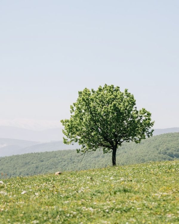 Quotes for When People Talk Behind Your Back: 100+ Words for Every Situation