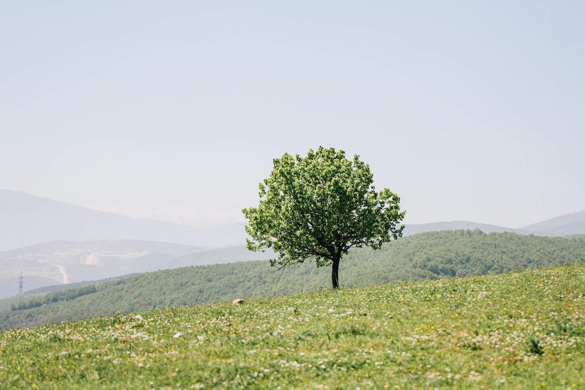 Quotes for When People Talk Behind Your Back: 100+ Words for Every Situation