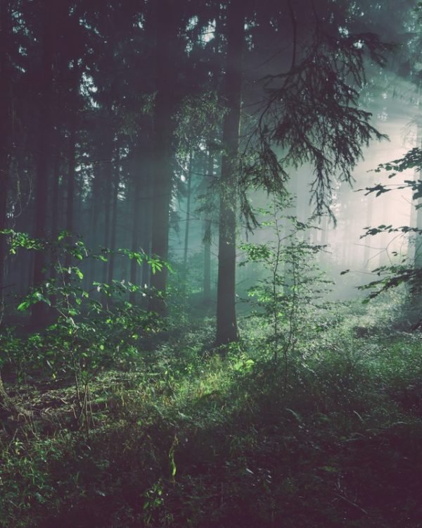 Thursday Blessings: Beautiful Messages, Prayers, Quotes & Images