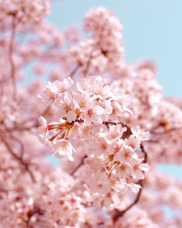 Tuesday Blessings: Beautiful Messages to Start Your Day With Hope