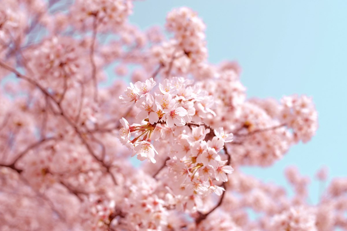 Tuesday Blessings: Beautiful Messages to Start Your Day With Hope